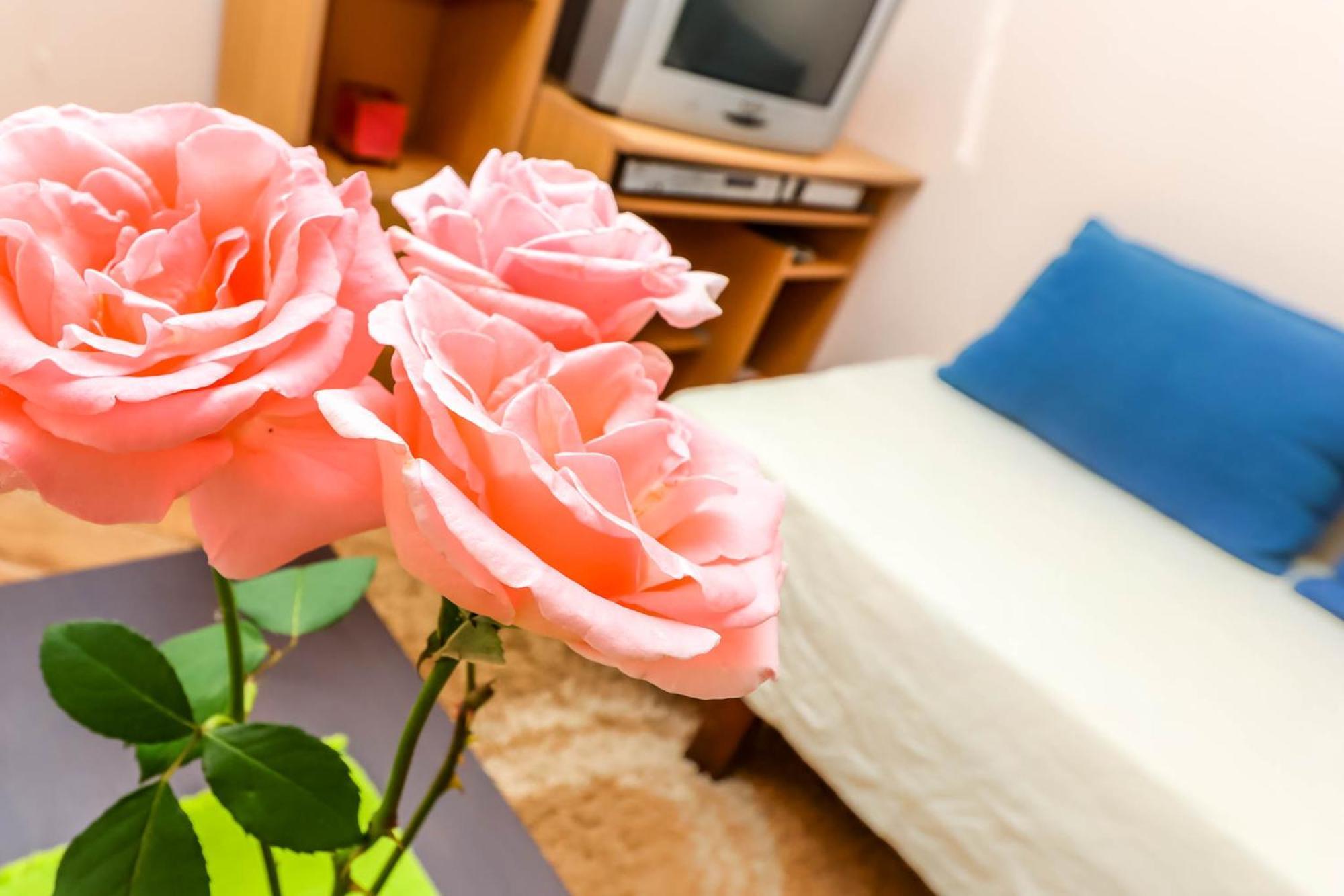 Apartments Zeko Долни Морин Екстериор снимка